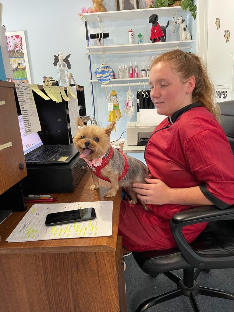 8f5304e3f65e6f38a4ea9542bdc08cd3